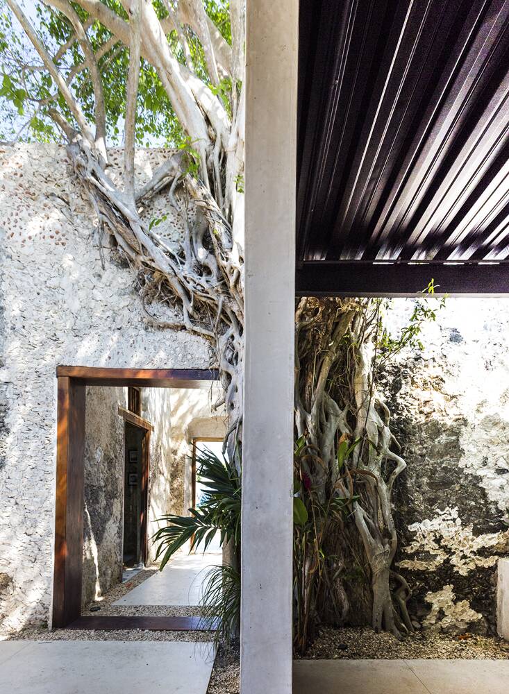 Hacienda Niop
