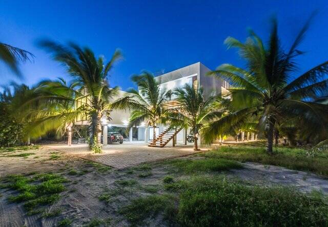 Palmar 11.5