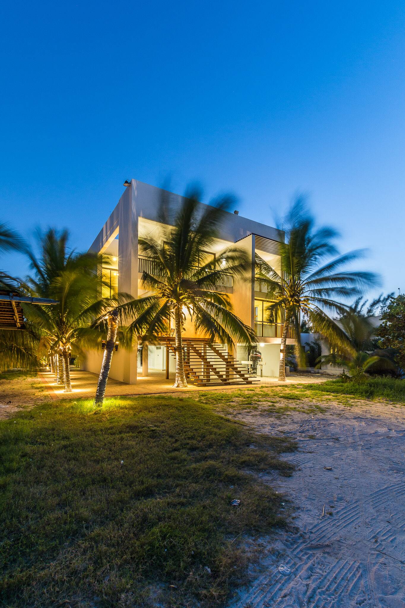 Palmar 11.5